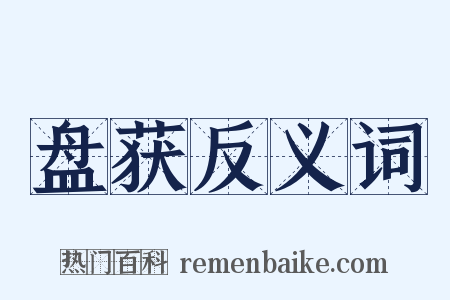 盘获反义词是什么意思的图片